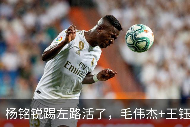 杨铭锐踢左路活了，毛伟杰+王钰栋国足未来双雄，大连3将身背3黄