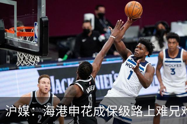 沪媒：海港申花成保级路上难兄难弟，两队都遭遇防线、伤病等问题
