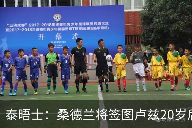 泰晤士：桑德兰将签图卢兹20岁后卫梅塔利 转会费最高达3000万镑