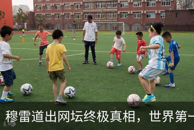 穆雷道出网坛终极真相，世界第一远比大满贯冠军更难