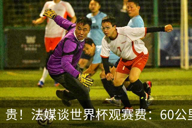 贵！法媒谈世界杯观赛费：60公里火车98美元，有人4天花4500欧元