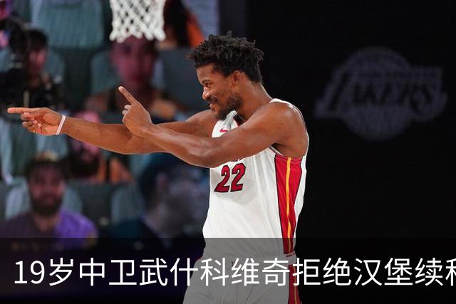 19岁中卫武什科维奇拒绝汉堡续租，热刺续约或转会欧洲豪门